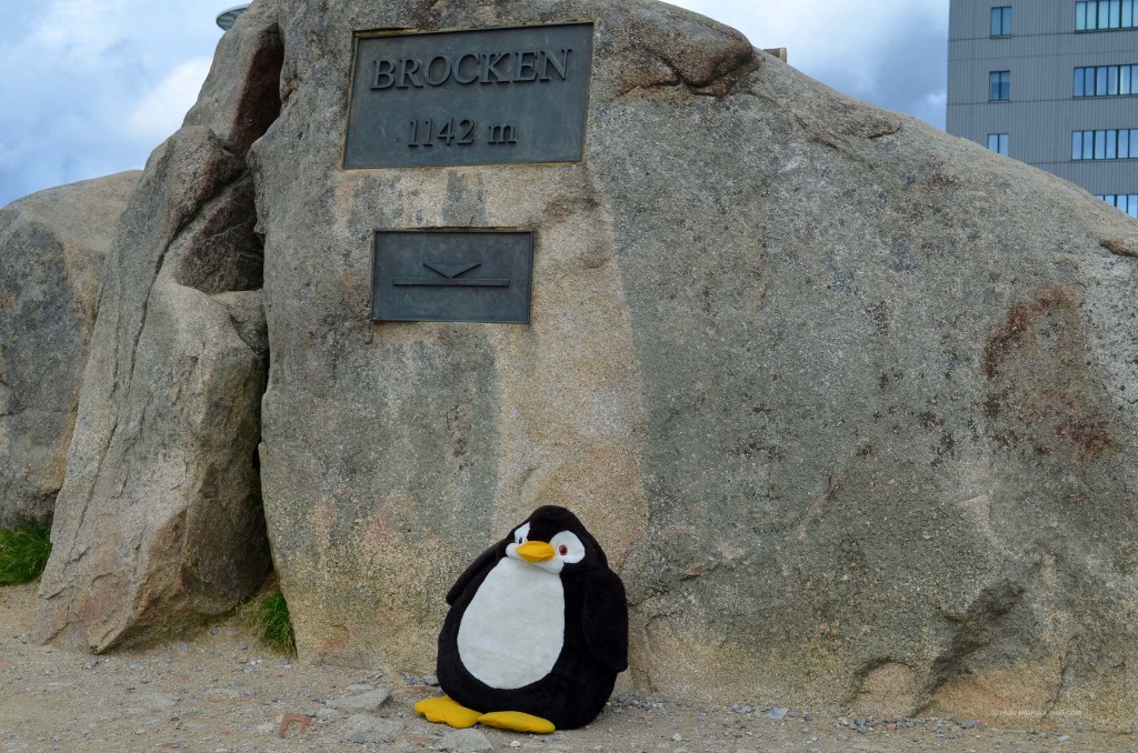 Höchster Punkt in Sachsen-Anhalt - Wo ist der Pinguin?