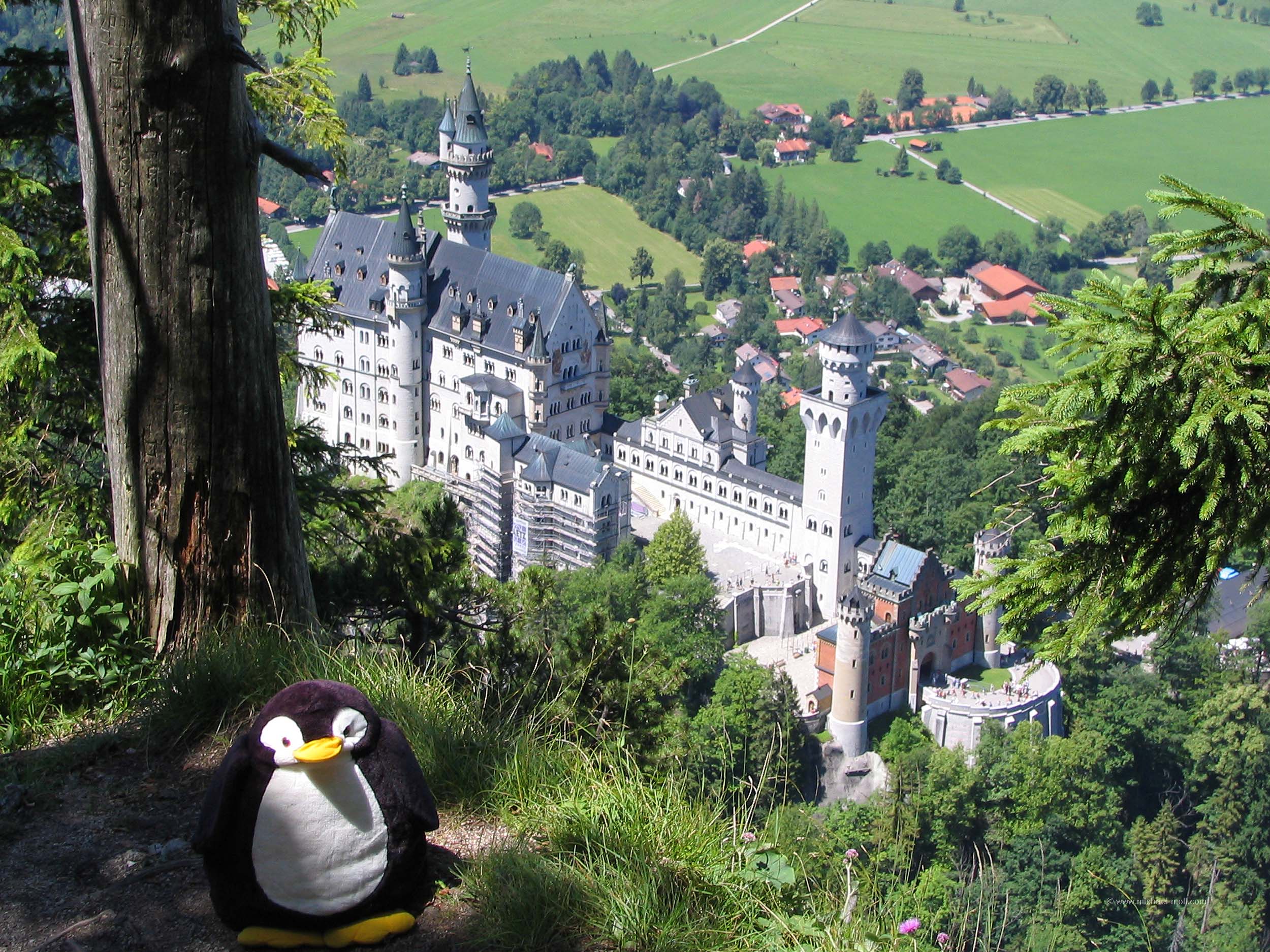 Schloss Neuschwanstein Wo Ist Der Pinguin schloss-neuschwanstein-wo-ist-der-pinguin
