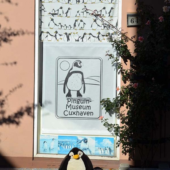 Pinguinmuseum