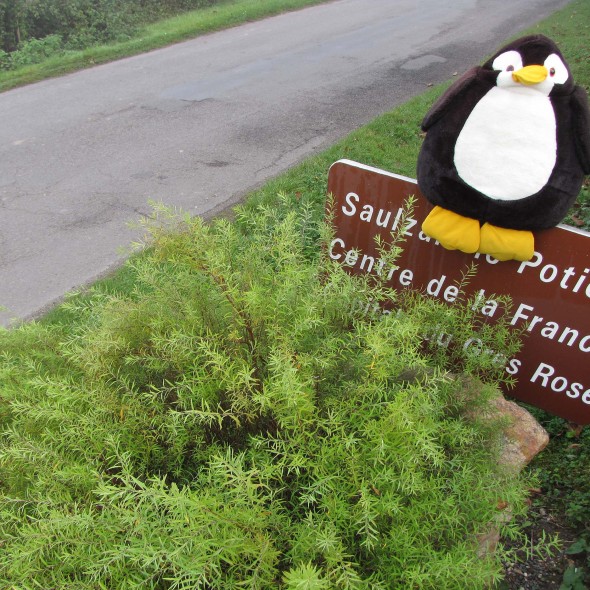 Saulzais-le-Potier ist ein geografischer Mittelpunkt Frankreichs