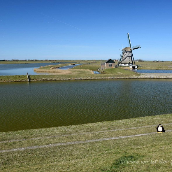 Vor einer Windmühle auf Texel