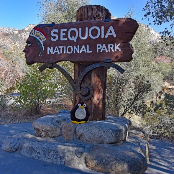 Sequoia-Nationalpark