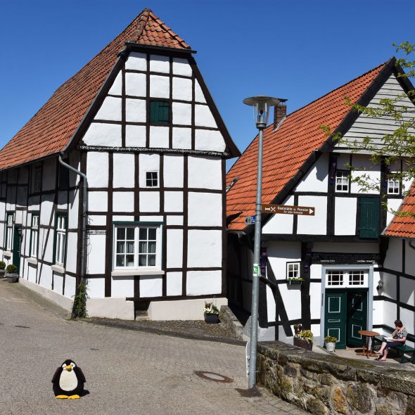 Pingu in Tecklenburg
