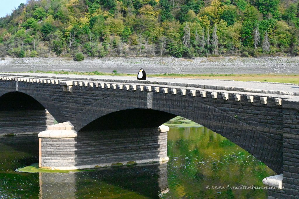 Edersee - Aseler Brücke
