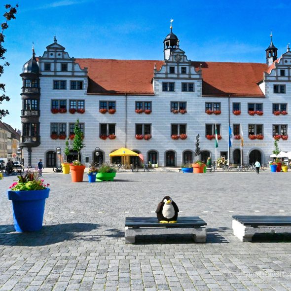 Torgau - Zentrum