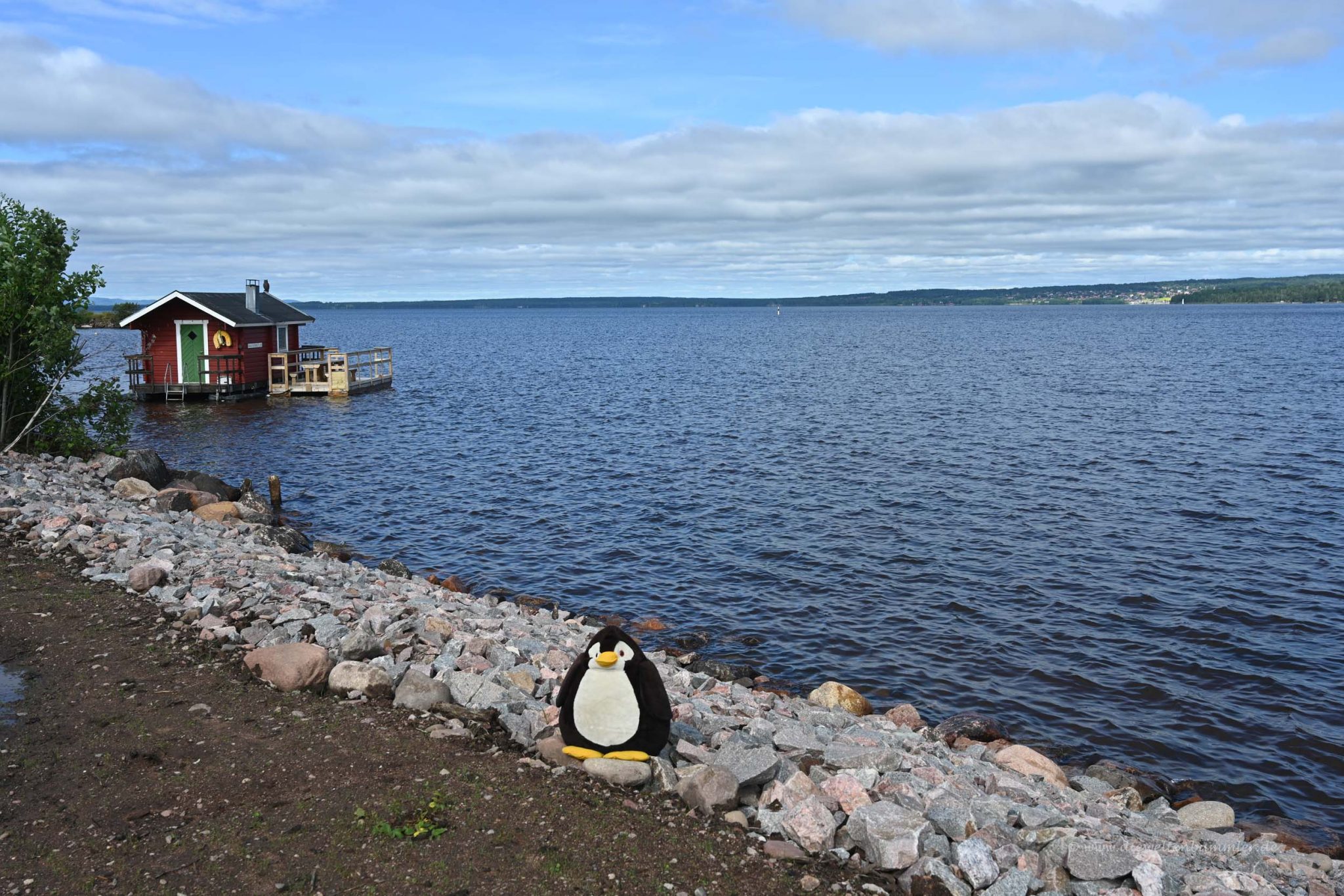 Siljansee Wo ist der Pinguin?