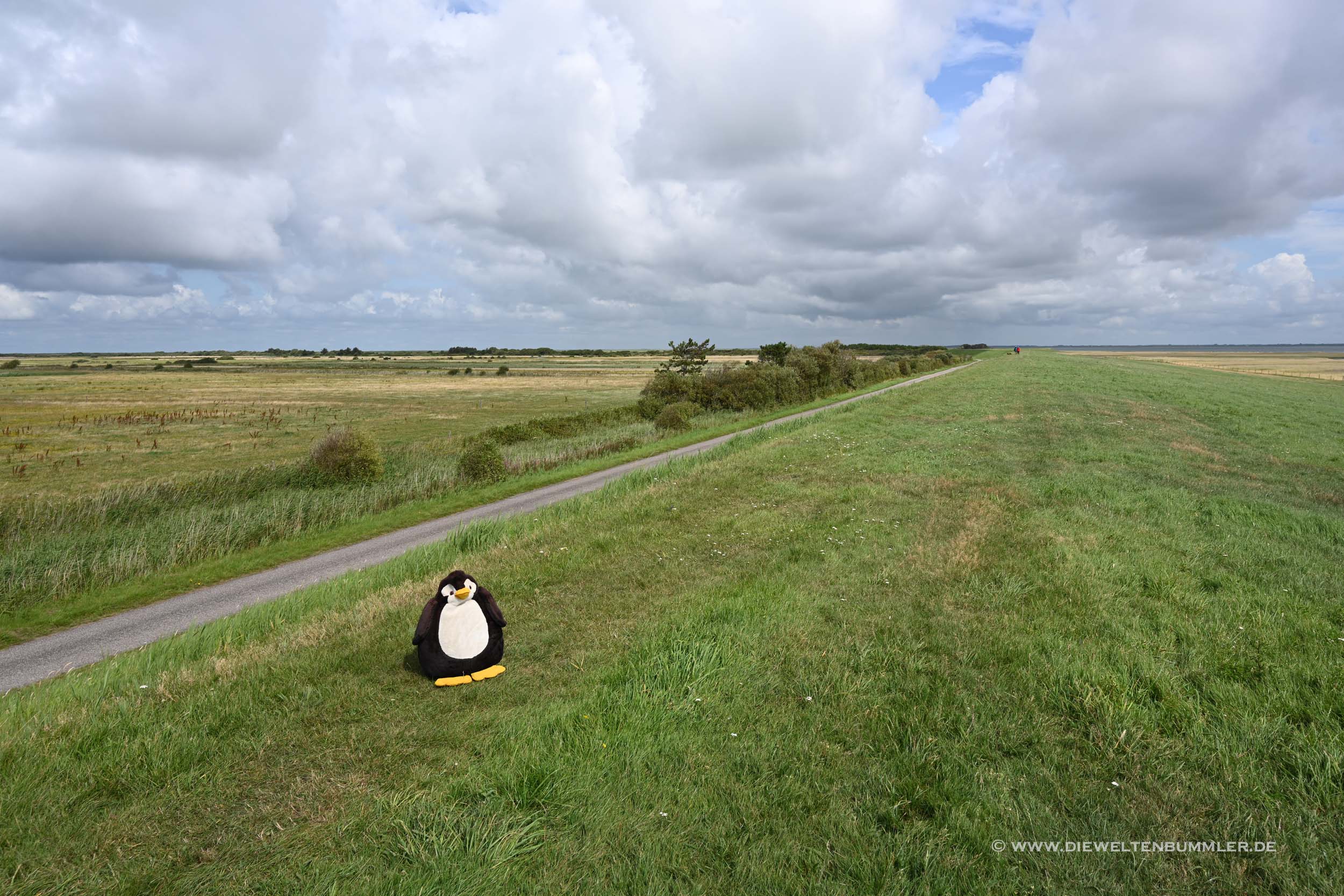Mandø Mandø