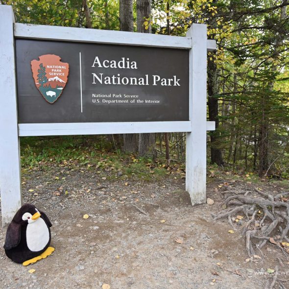 Acadia Nationalpark