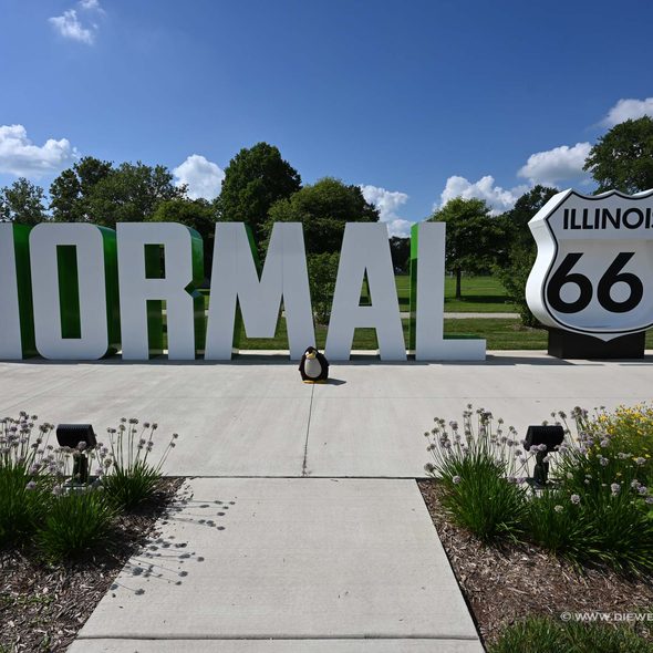 Normal