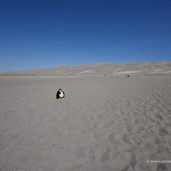 Great Sand Dunes National Park