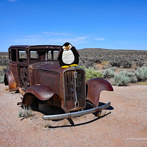 Petrified Forest National Park