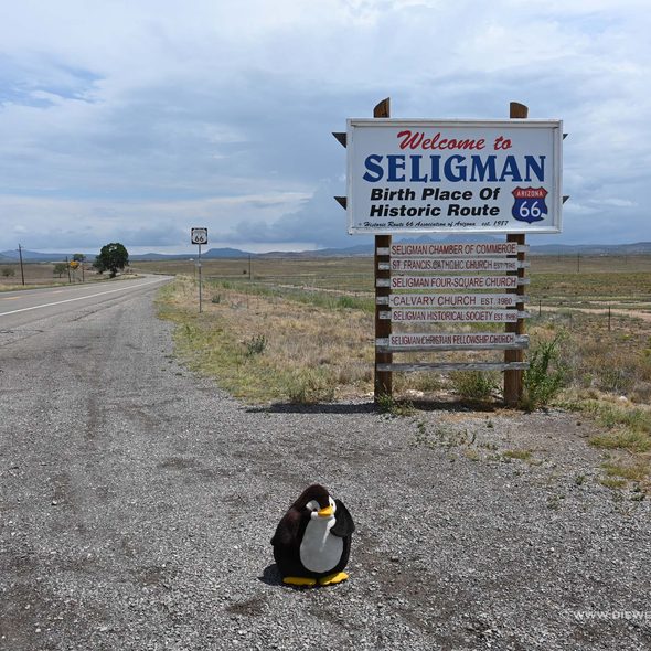 Seligman