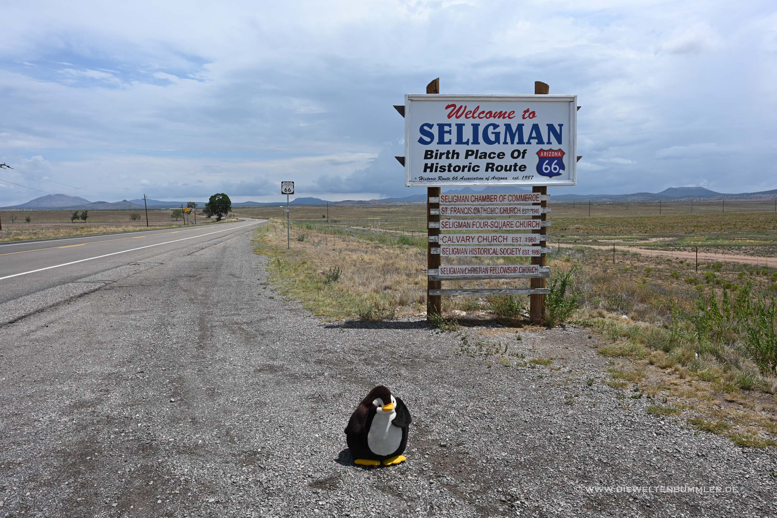 Seligman Seligman