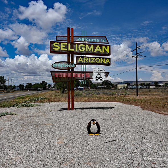 Seligman