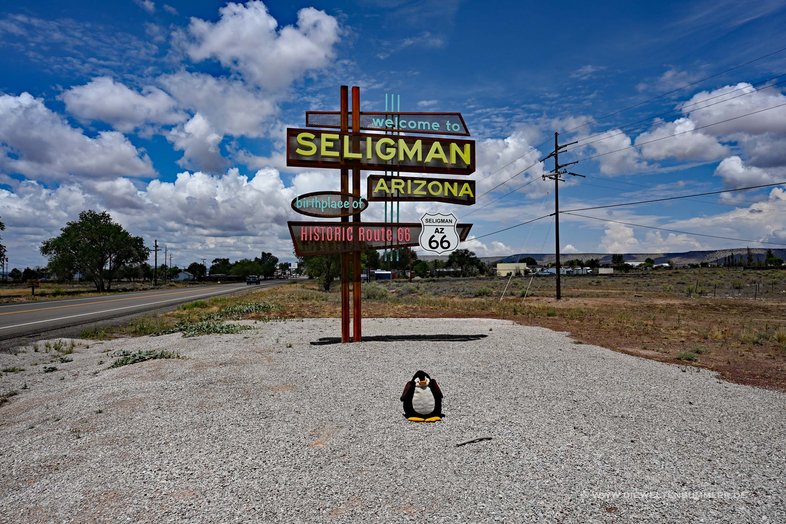 Seligman Seligman