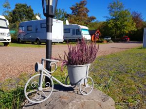 Heide im Fahrrad