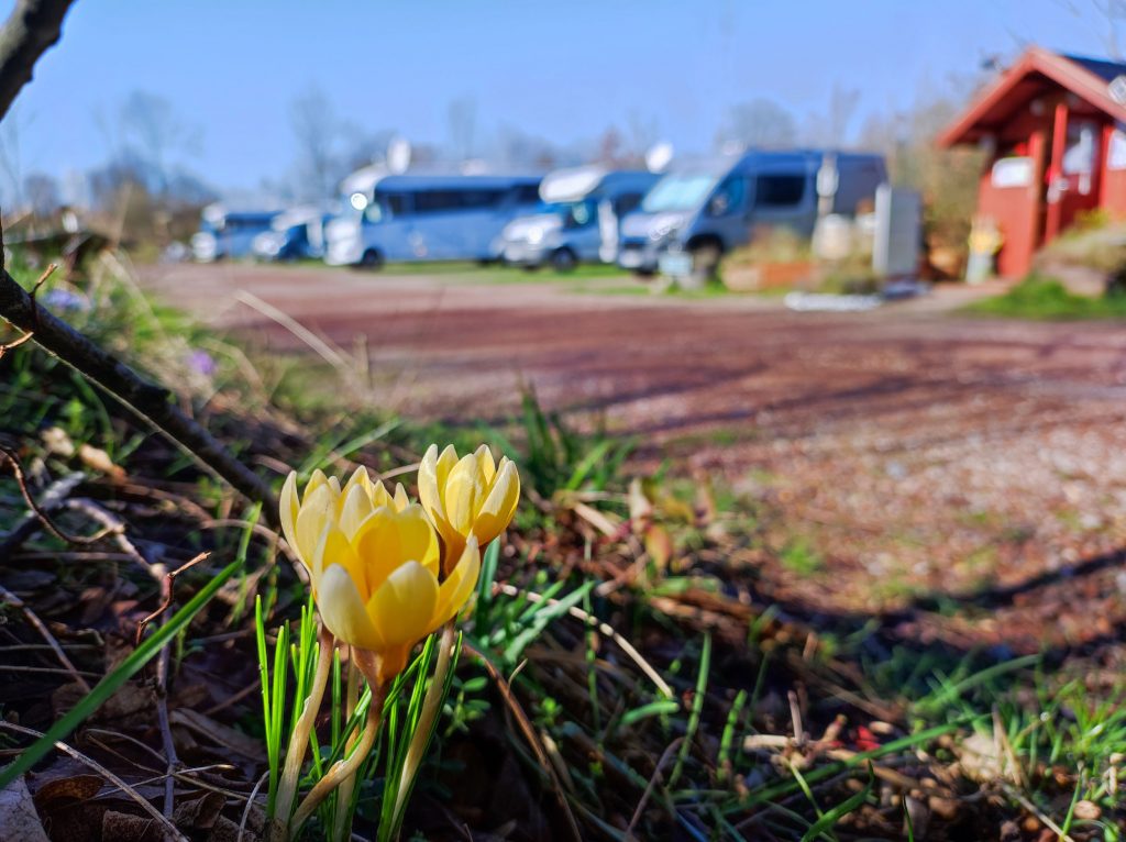 Frühling auf dem Wohnmobilstellplatz