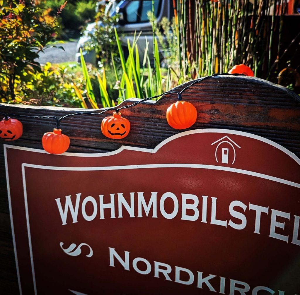Gruselkürbisse