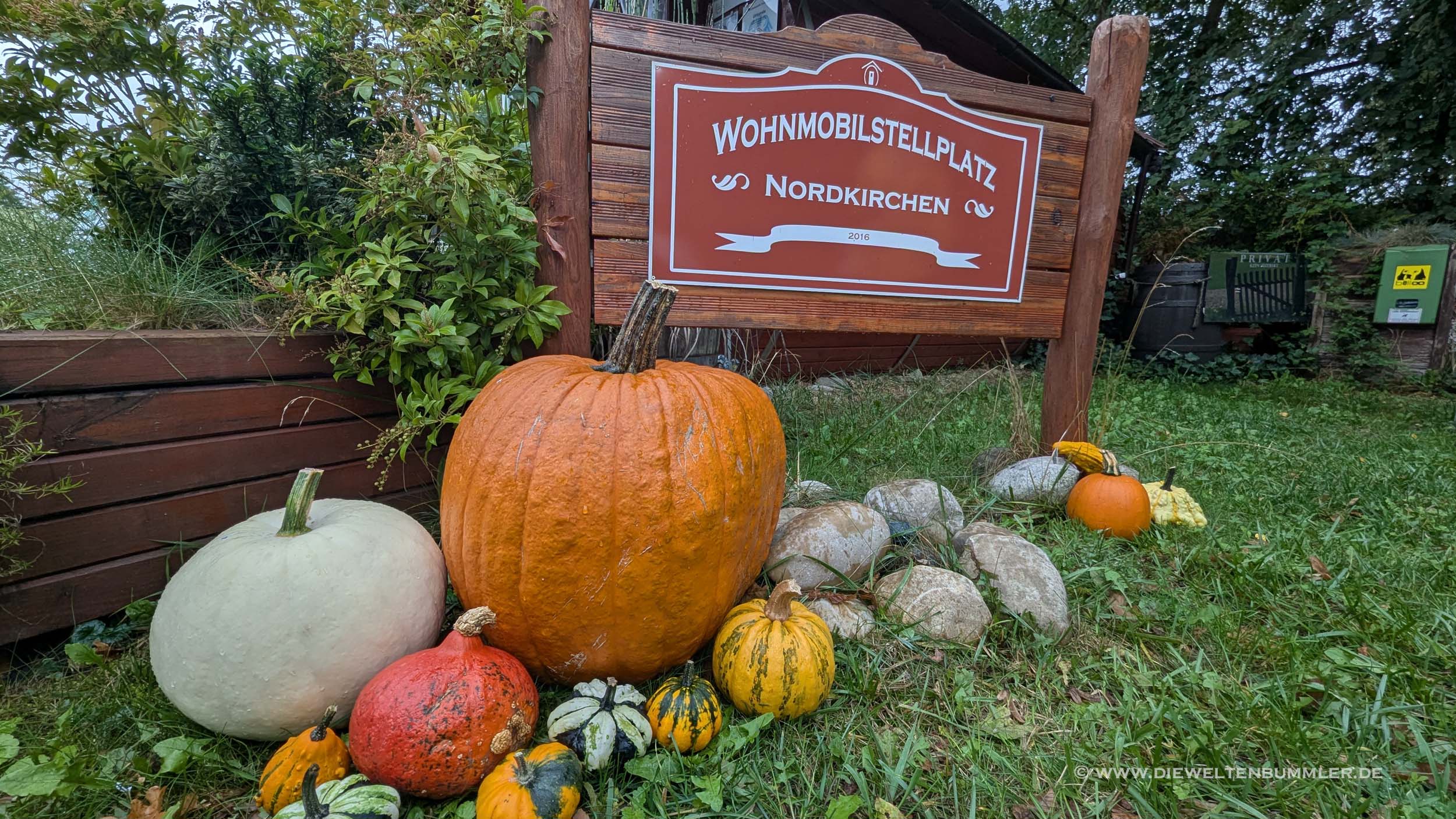 Kürbisse am Wohnmobilstellplatz Nordkirchen