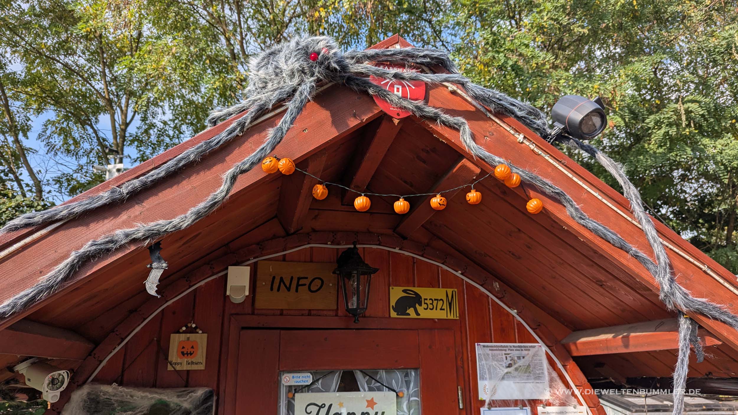 Riesenspinne auf dem Dach Riesenspinne auf dem Dach