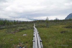 Holzsteg als Wanderweg