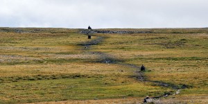 Wanderung nach Knivskjelodden