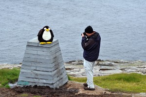 Pingu am Knivskjelodden