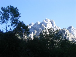 Picos de Europa