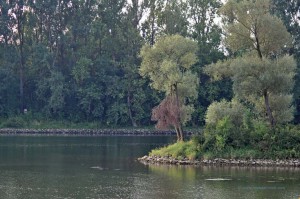Ehemalige Altmuehl in die Donau