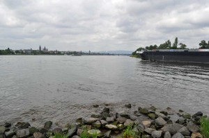 Main in den Rhein