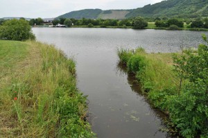 Gallersbach in die Saar