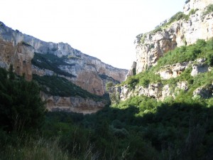 in der Schlucht bei Lumbier