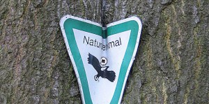 Naturschutzgebiet