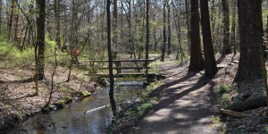 Duisburger Seenplatte