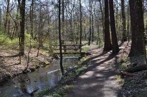 Duisburger Seenplatte