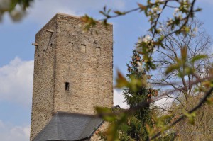 Burg Blankenstein