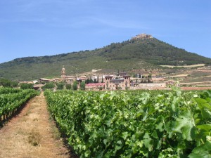 Plantage vor Villamayor de Monjardin