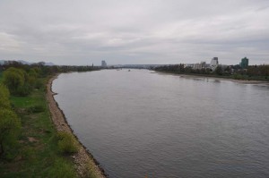 Rhein