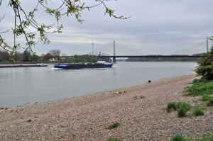 Rhein