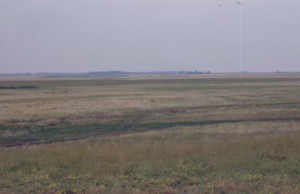 Puszta