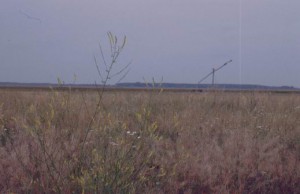 Puszta