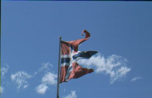 Norwegische Flagge