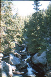 Norwegische Landschaft