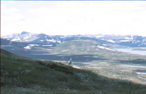 Hardangervidda