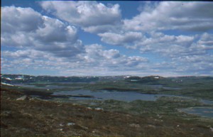 Hardangervidda