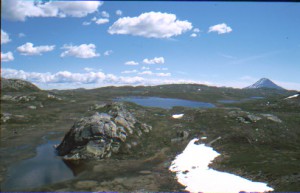 Hardangervidda