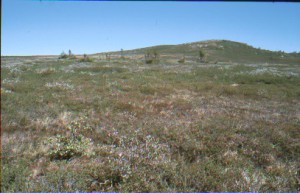 Wandern in der Hardangervidda