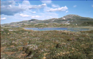 Wandern in der Hardangervidda