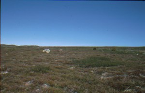 Wandern in der Hardangervidda