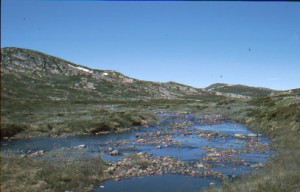 Wandern in der Hardangervidda